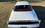 1979 Firebird Trans Am Thumbnail 30