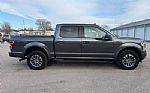 2019 F-150 Thumbnail 4