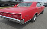 1966 GTO Thumbnail 23