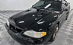 1996 Mustang Thumbnail 3