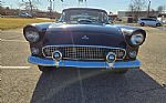 1955 Thunderbird Thumbnail 6