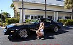 1978 Trans Am Thumbnail 8