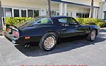 1978 Trans Am Thumbnail 27