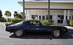 1978 Trans Am Thumbnail 35