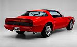 1979 Trans Am Thumbnail 6