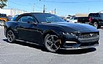 2024 Mustang Thumbnail 34