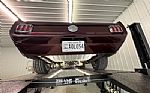 1966 Mustang Fastback Thumbnail 61