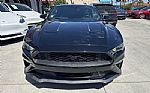 2019 Mustang EcoBoost Thumbnail 2