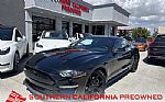 2019 Mustang EcoBoost Thumbnail 1