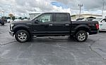 2015 F-150 Thumbnail 5