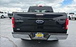 2015 F-150 Thumbnail 10