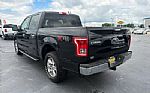 2015 F-150 Thumbnail 12