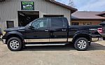 2010 F-150 Thumbnail 1