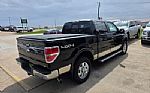 2010 F-150 Thumbnail 4