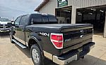 2010 F-150 Thumbnail 9