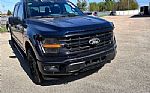 2024 F-150 Thumbnail 4