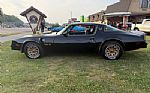 1977 Trans Am Thumbnail 3