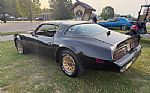 1977 Trans Am Thumbnail 4