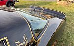 1977 Trans Am Thumbnail 16