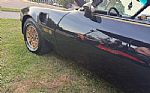 1977 Trans Am Thumbnail 17