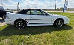 1996 Mustang Thumbnail 44