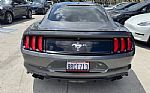 2019 Mustang EcoBoost Premium Thumbnail 5