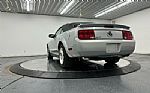 2009 Mustang Thumbnail 9