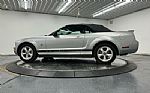 2009 Mustang Thumbnail 11