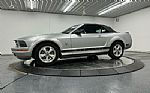 2009 Mustang Thumbnail 14