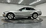 2009 Mustang Thumbnail 15