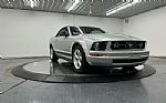 2009 Mustang Thumbnail 22