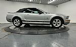 2009 Mustang Thumbnail 25