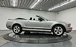 2009 Mustang Thumbnail 44