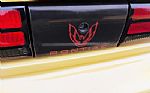 1992 Firebird Thumbnail 19