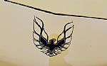 1992 Firebird Thumbnail 21