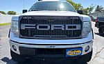 2014 F-150 Thumbnail 2