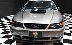 2002 Mustang Thumbnail 12