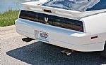1989 Trans AM Thumbnail 69