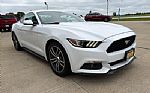 2017 Mustang Thumbnail 3