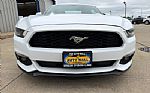 2017 Mustang Thumbnail 2