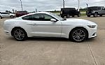 2017 Mustang Thumbnail 4