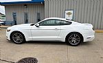 2017 Mustang Thumbnail 5