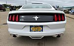 2017 Mustang Thumbnail 7