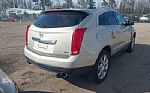 2013 SRX Thumbnail 3