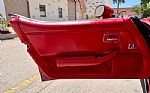 1981 Corvette Thumbnail 23
