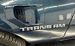 1979 Firebird Thumbnail 45
