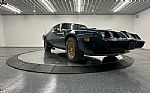 1979 Firebird Thumbnail 72