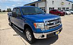 2013 F-150 Thumbnail 8