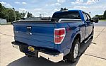 2013 F-150 Thumbnail 11
