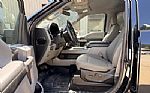 2019 F-150 Thumbnail 7